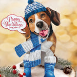 Holiday Beagle Pop-Up