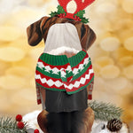 Back of Holiday Beagle Pop-Up