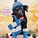 Holiday Black Lab Pop-Up with winter accessories