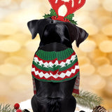 Back of Holiday Black Lab Pop-Up