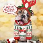 English Bulldog with Antlers and Speech Bubble