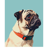 Pug Card