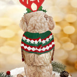 Back of Holiday Poodle Pop-Up Card