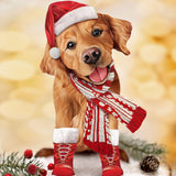 Holiday Golden Retriever Pop-Up Card