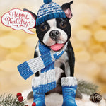 Holiday Boston Terrier Pop-Up