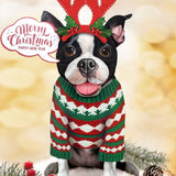 Holiday Boston Terrier Pop-Up in reindeer antlers