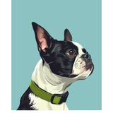 Boston Terrier Card