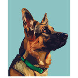 German Shepherd Card