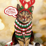 Holiday Brown Tabby Cat Pop-Up in reindeer antlers