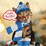 Holiday Brown Tabby Cat Pop-Up