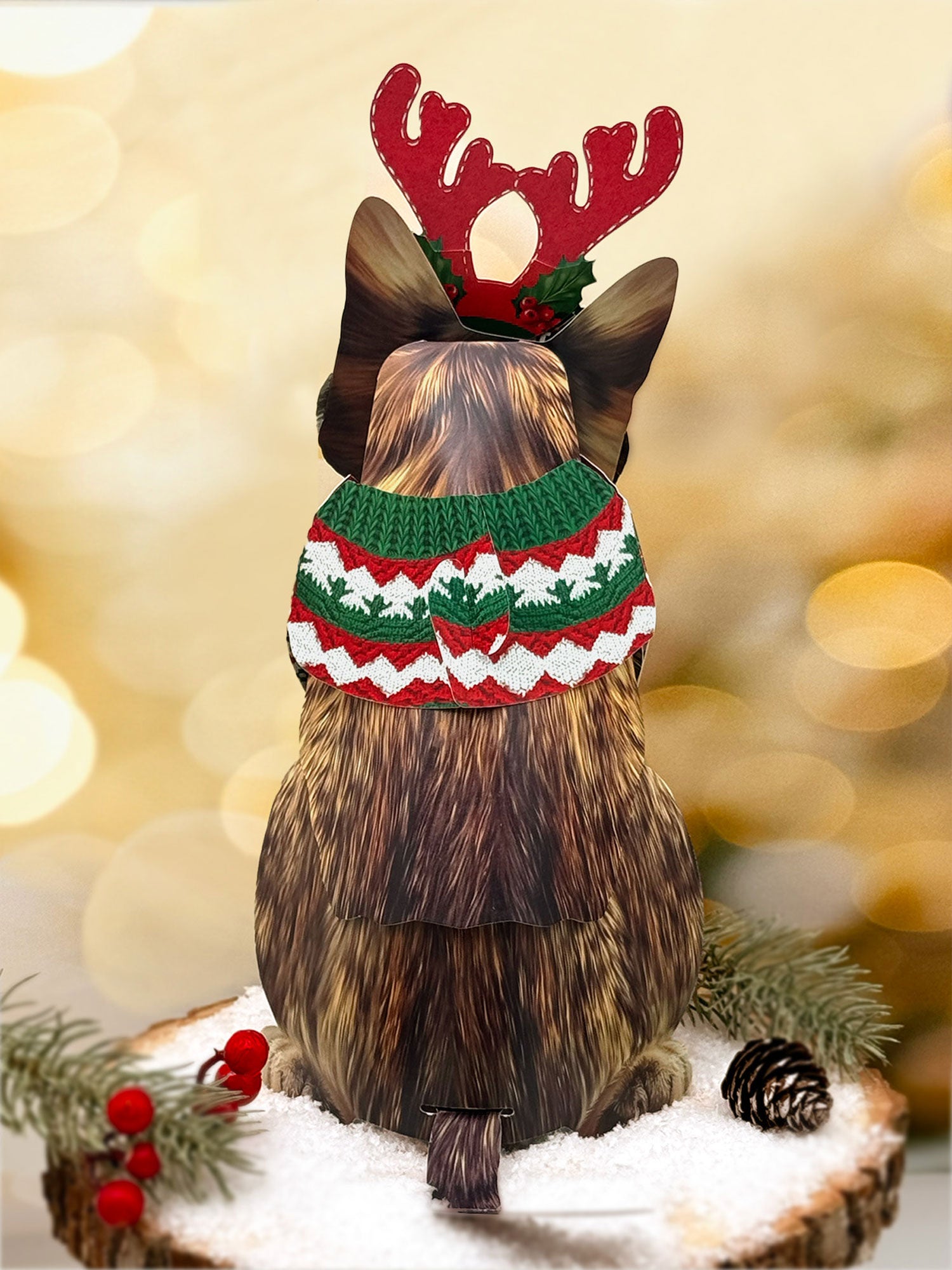 Back of Holiday Brown Tabby Cat Pop-Up