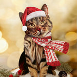 Holiday Brown Tabby Cat Pop-Up in Santa hat