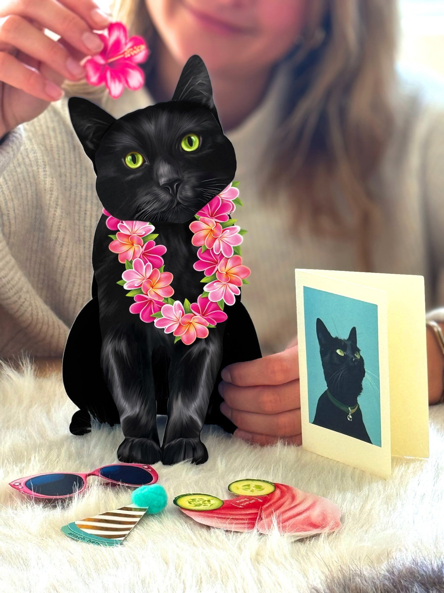 Black Pop-Up Cat with accessories