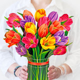 Festive Tulips Hero Image