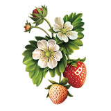 Strawberry Blossom Card