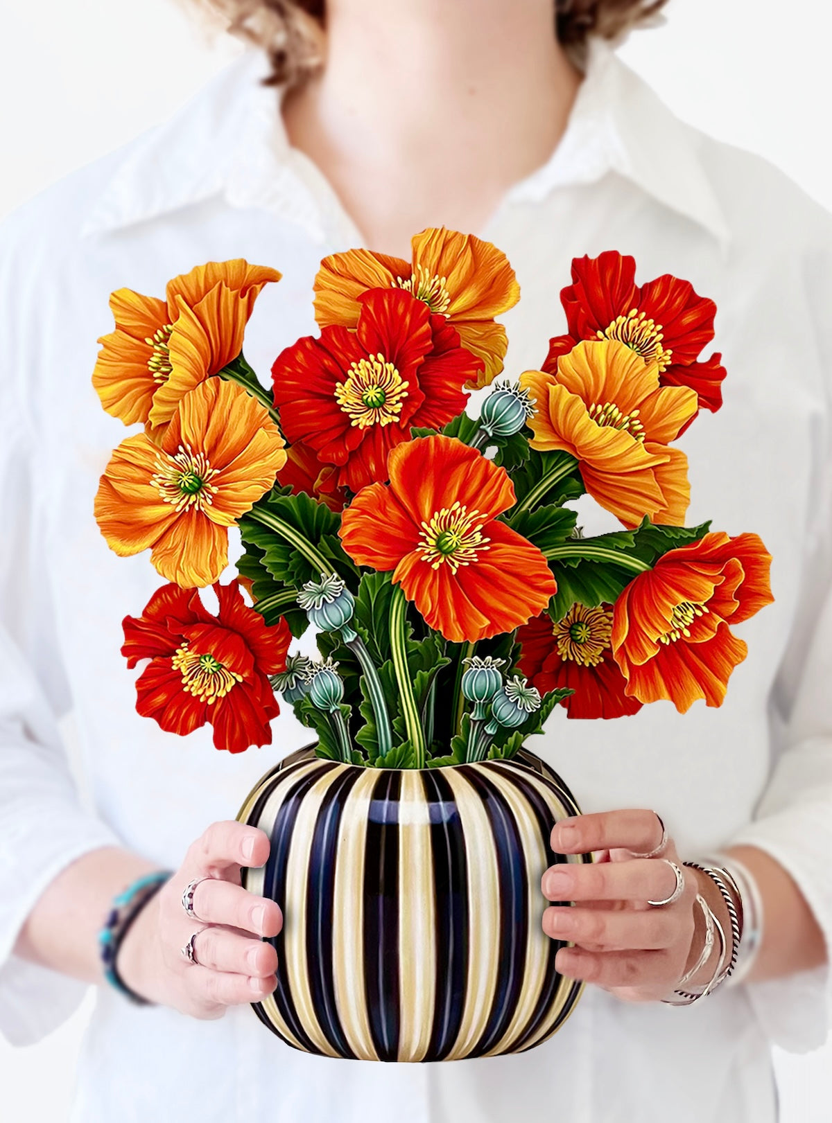 French Poppies