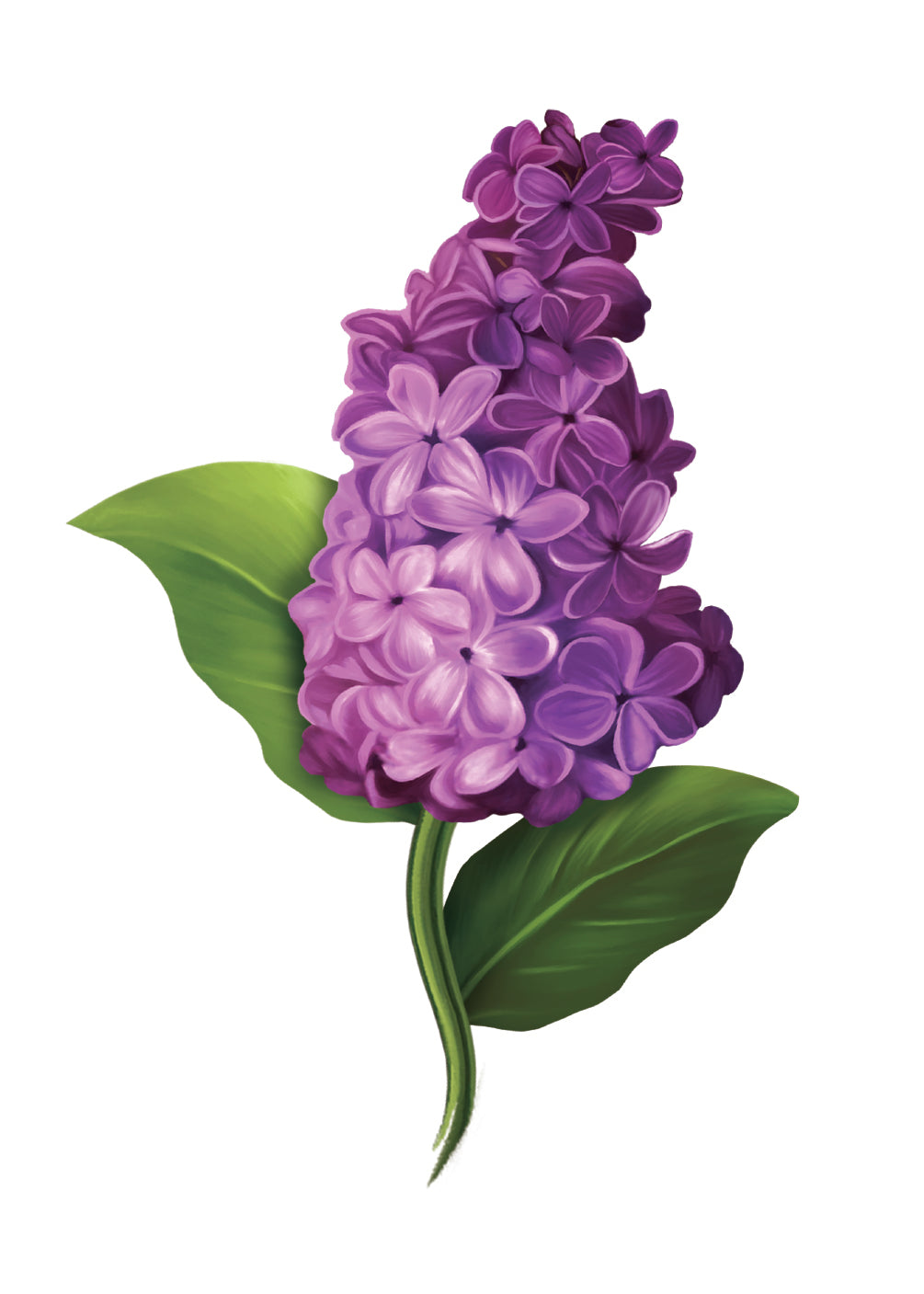 Grande Garden Lilacs Card