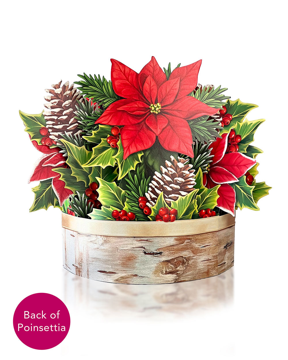 FreshCut Paper Birch Poinsettia back