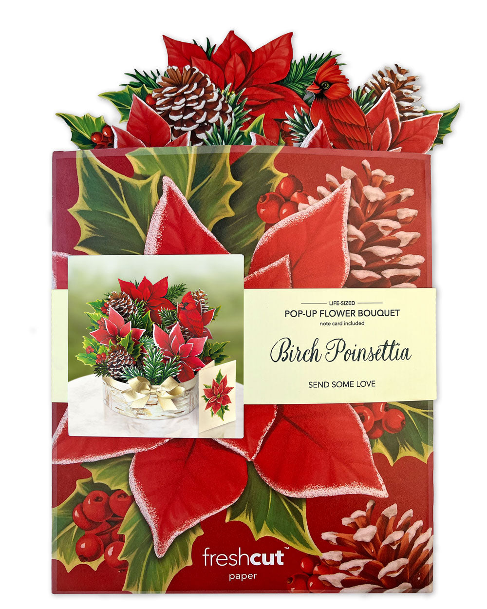 FreshCut Paper Birch Poinsettia envelope