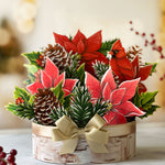 FreshCut Paper Birch Poinsettia centerpiece