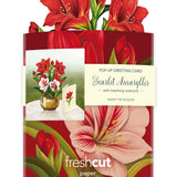 Scarlet Amaryllis Envelope