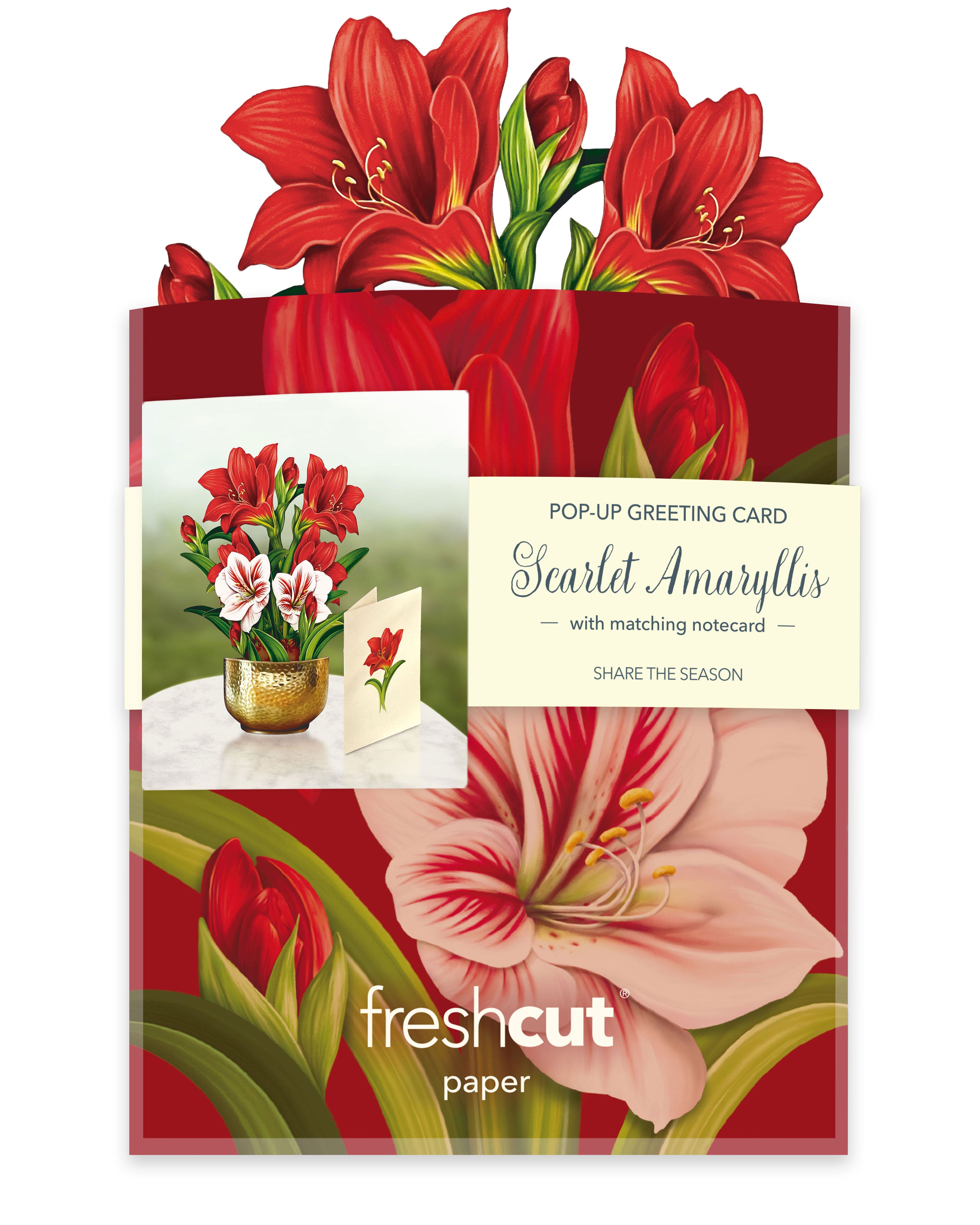 Scarlet Amaryllis Envelope