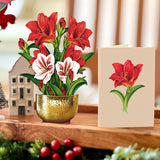 Mini Scarlet Amaryllis