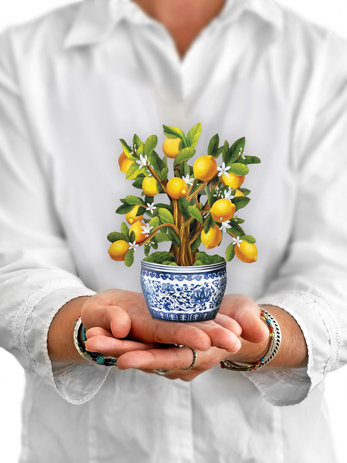 Mini Lemon Tree with Blue Pot