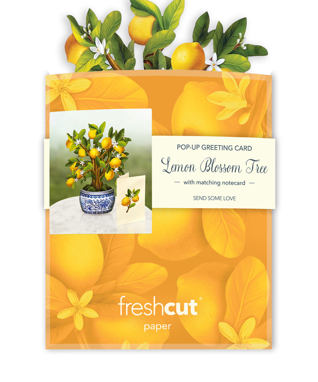 Lemon Blossom with Yellow Envelope