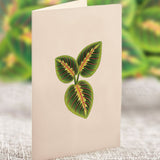 Mini Prayer Plant notecard