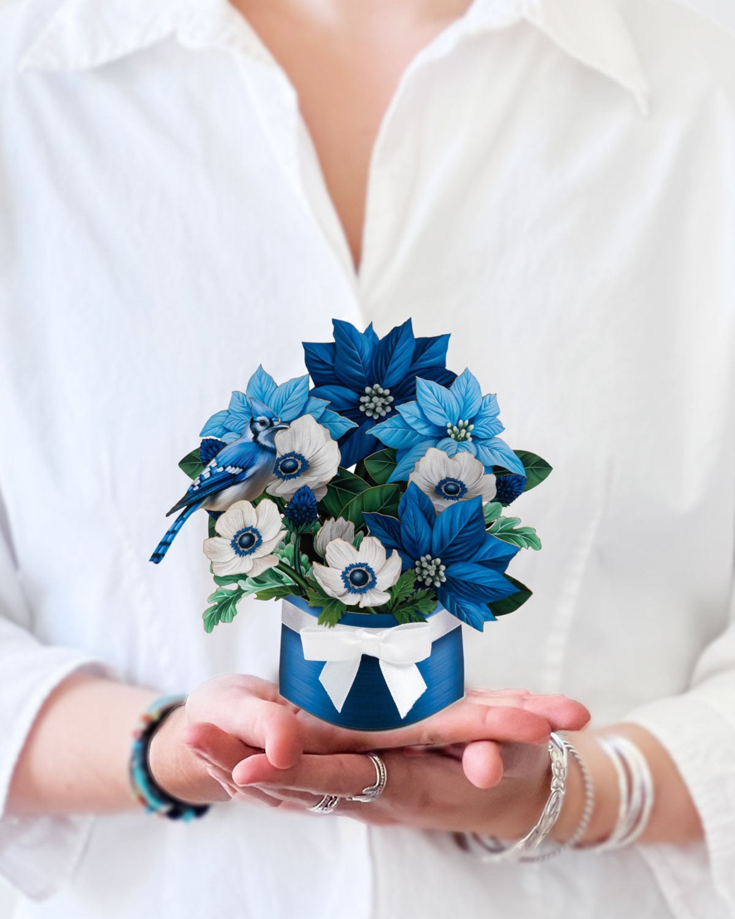 Mini Blue Poinsettia with Model