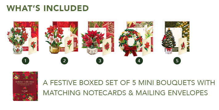 Holiday Favorites Boxed Set of 5