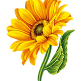 Sunflowers New Vase Card