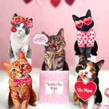 Meow & Forever Valentine’s Cat Bundle