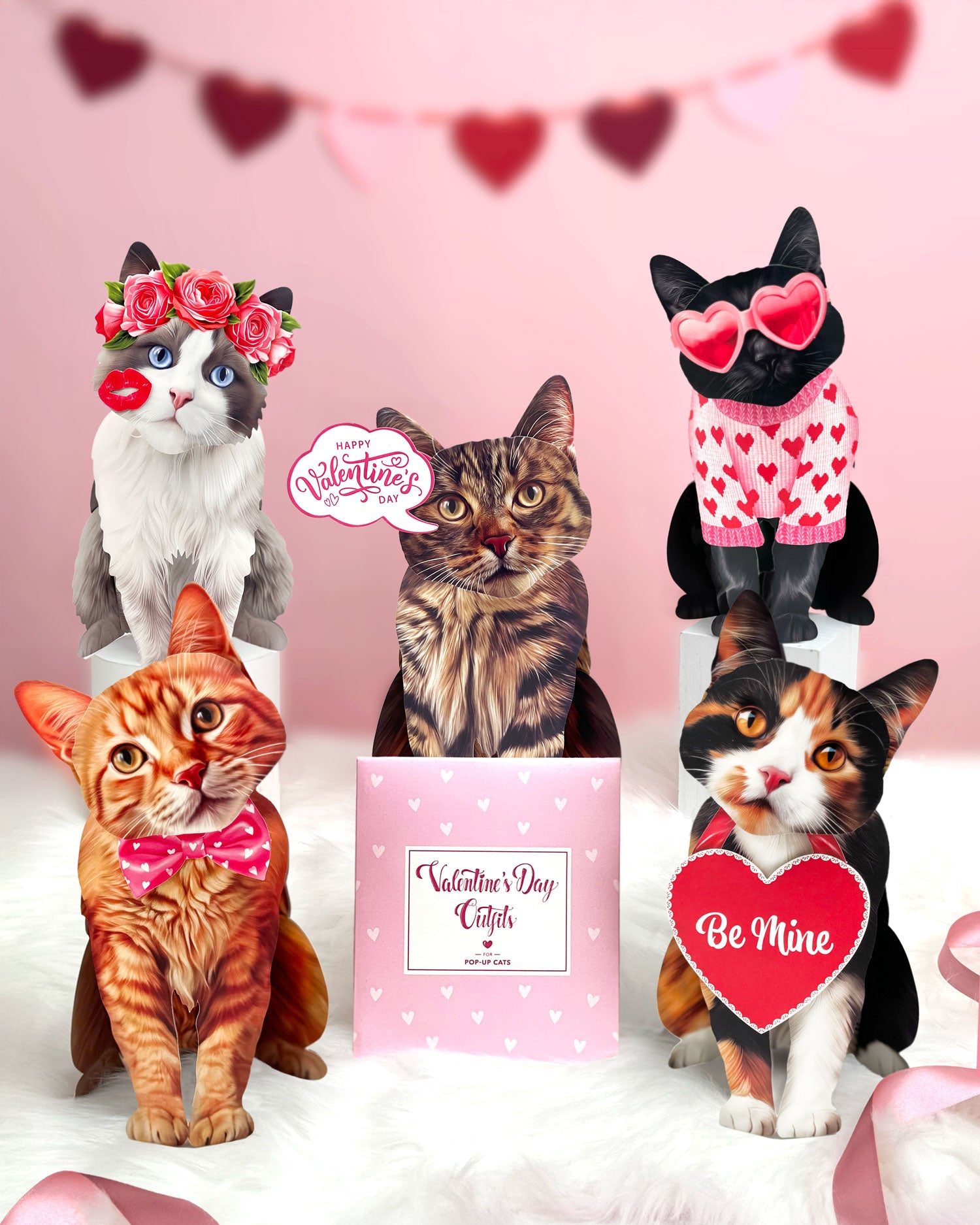 Meow & Forever Valentine’s Cat Bundle