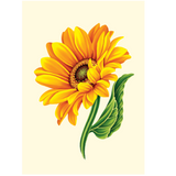 Sunflowers New Vase Card