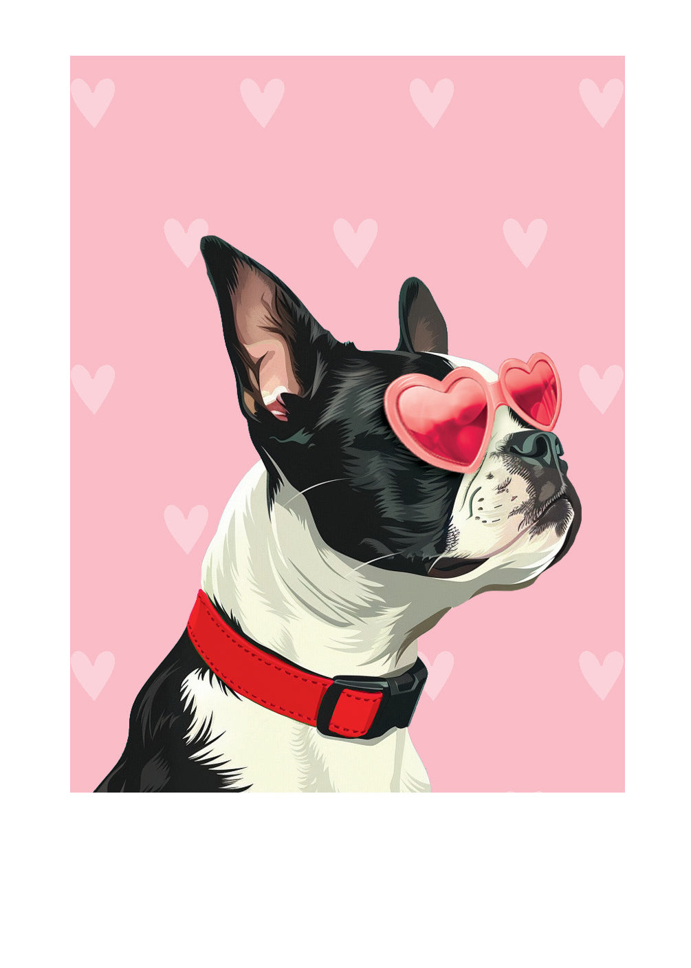 Valentine's Day Boston Terrier Card