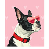 Valentine's Day Boston Terrier Card