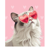 Valentine's Day Ragdoll Cat Card