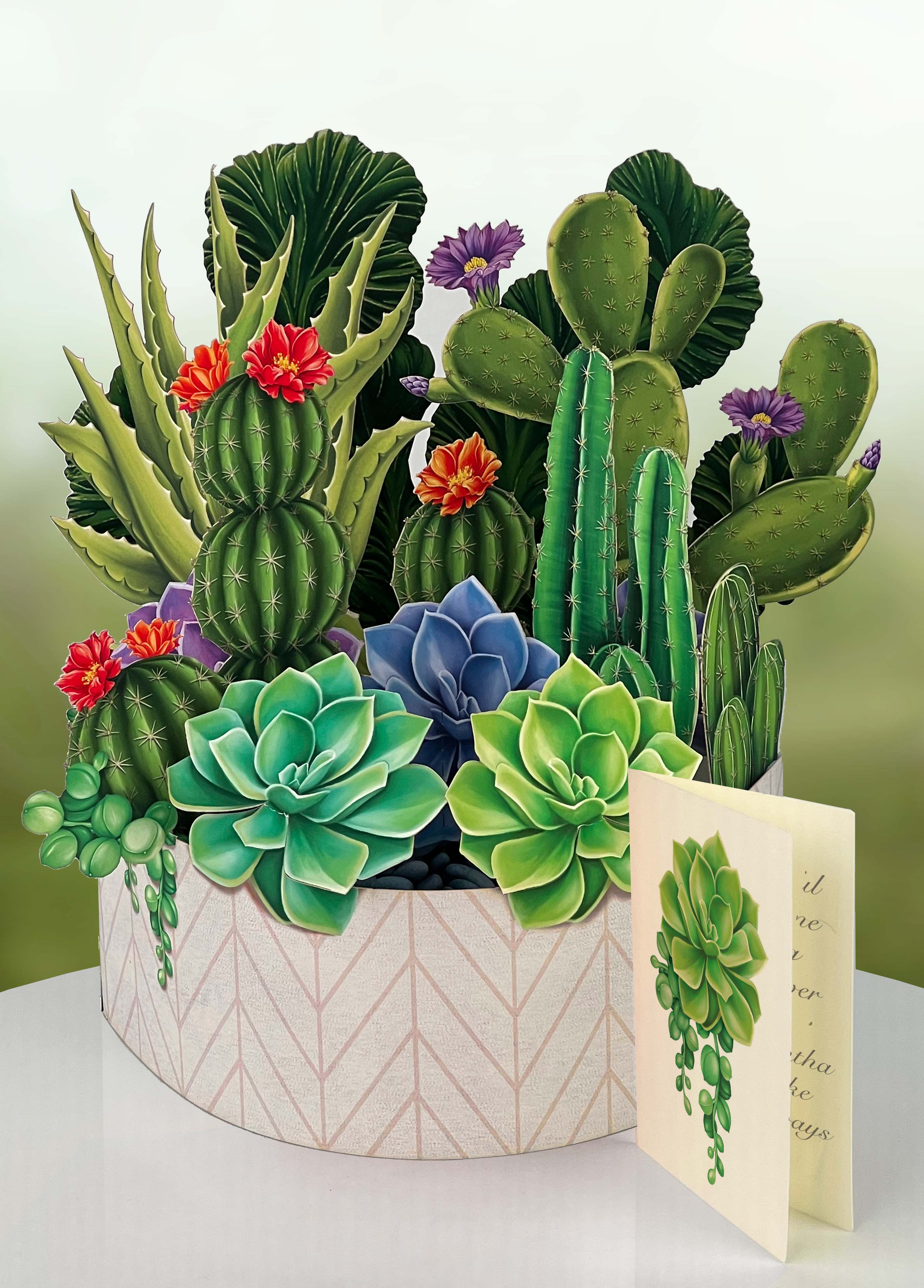 Cactus Garden - FreshCut Paper