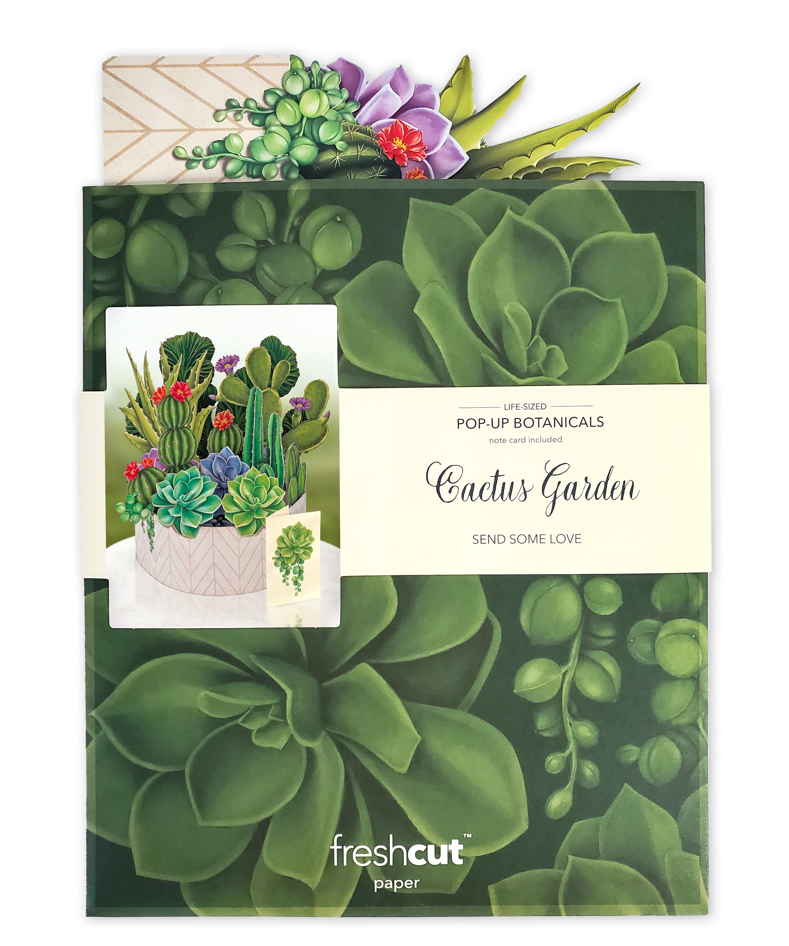 Cactus Garden - FreshCut Paper