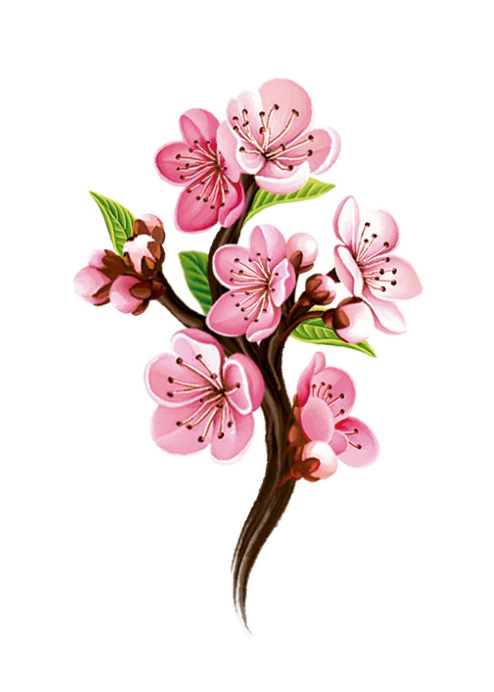 Cherry Blossom Card - FreshCut Paper