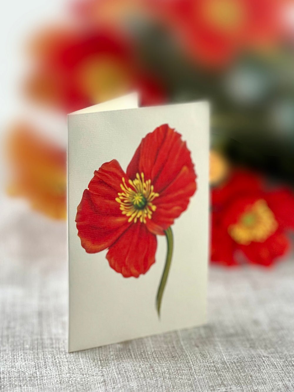 French Poppies - FreshCut Paper