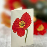 French Poppies - FreshCut Paper