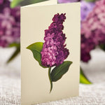 Garden Lilacs - FreshCut Paper