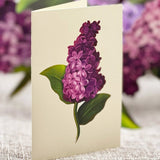 Garden Lilacs - FreshCut Paper