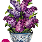 Garden Lilacs - FreshCut Paper