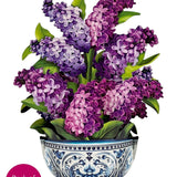 Garden Lilacs - FreshCut Paper