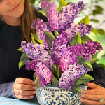 Garden Lilacs - FreshCut Paper