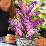 Garden Lilacs - FreshCut Paper